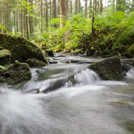 Casa de Férias Ziegler Loßburg